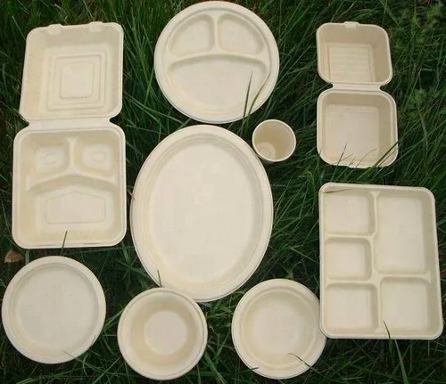 Eco-Friendly Biodegradable Bagasse Tableware